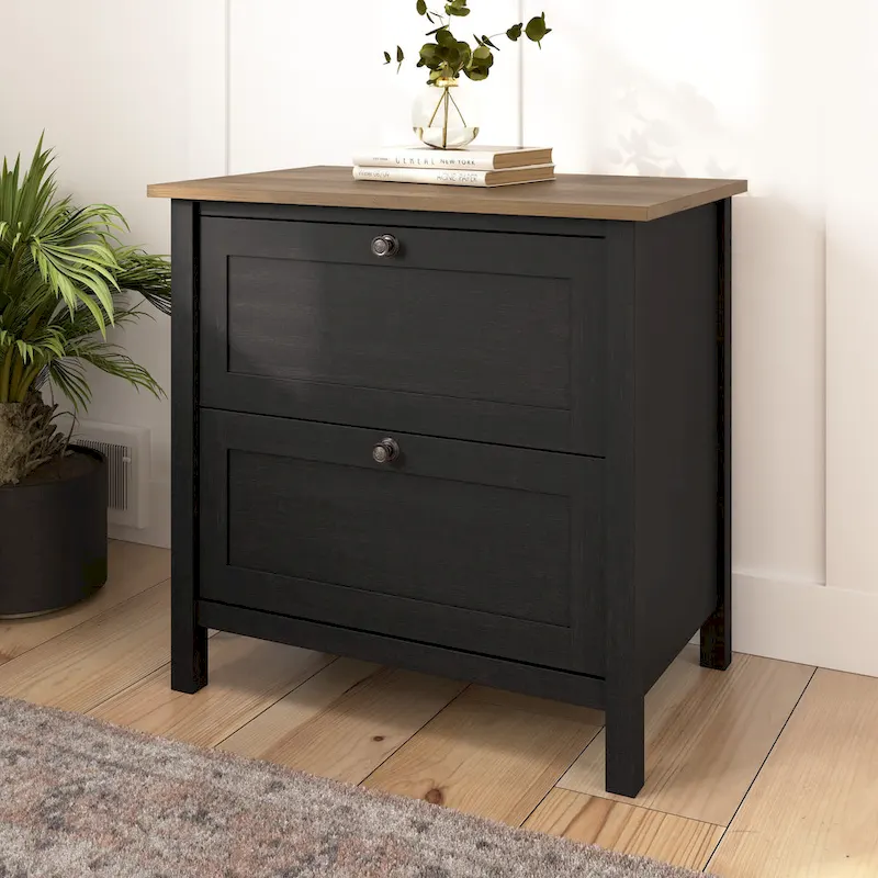 Mayfield 2 Drawer Lateral File Cabinet by Bush Furniture