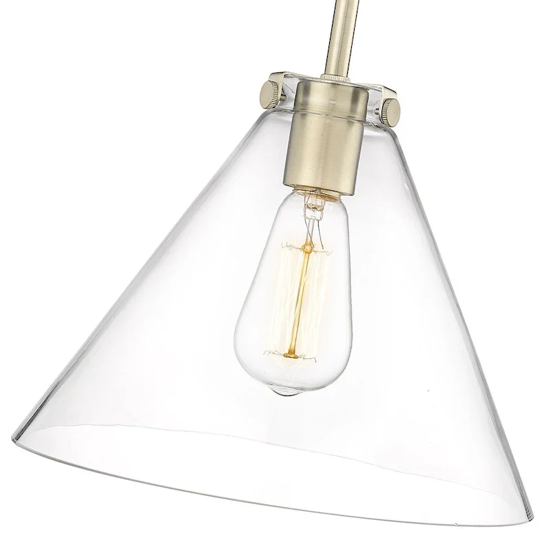 Millennium Lighting Aliza 1 Light Pendant with Clear Glass Shades