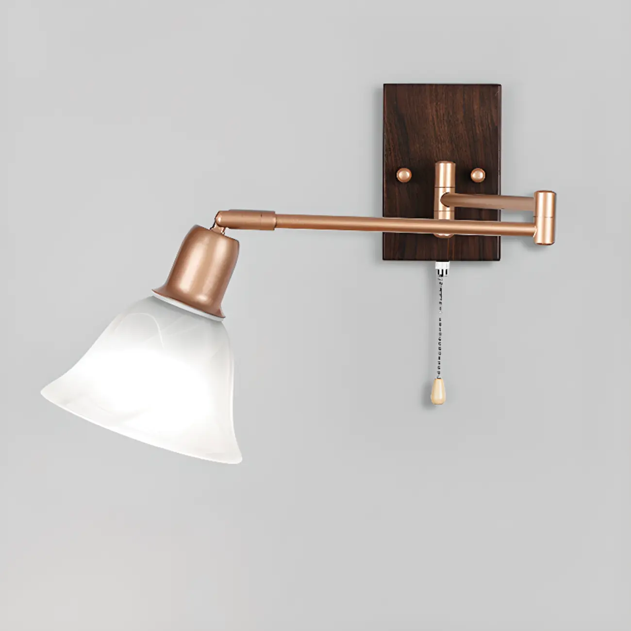 Elegant Swing Arm Wall Mount Light with Pull Chain Switch