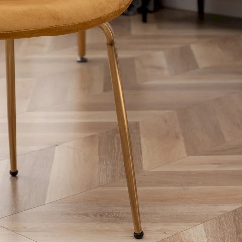 Roundhill Furniture Aufurr Modern Velvet Dining Chair (Set of 2)