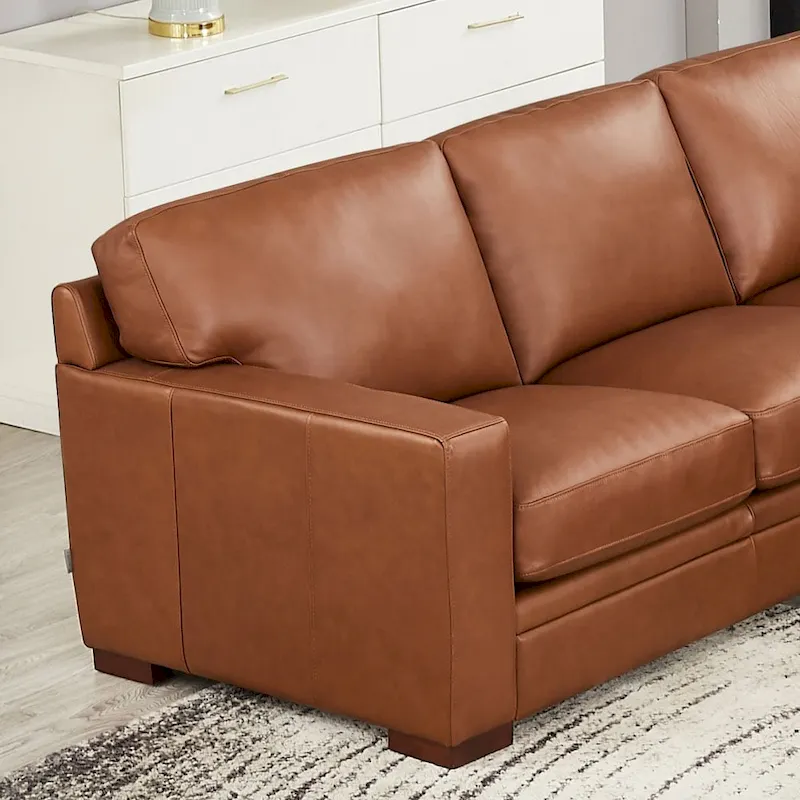 Hydeline Dillon Top Grain Leather Right-Facing Sectional Sofa with Chaise