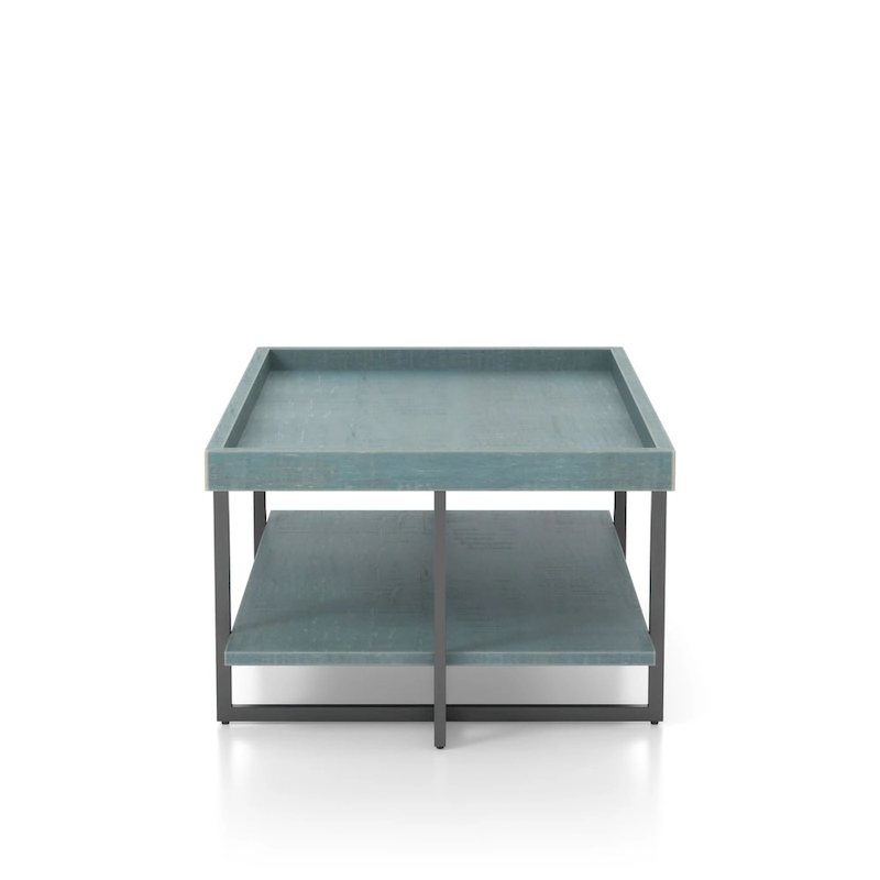 Damara Transitional 47-inch Metal 1-Shelf Coffee Table by Furniture of America