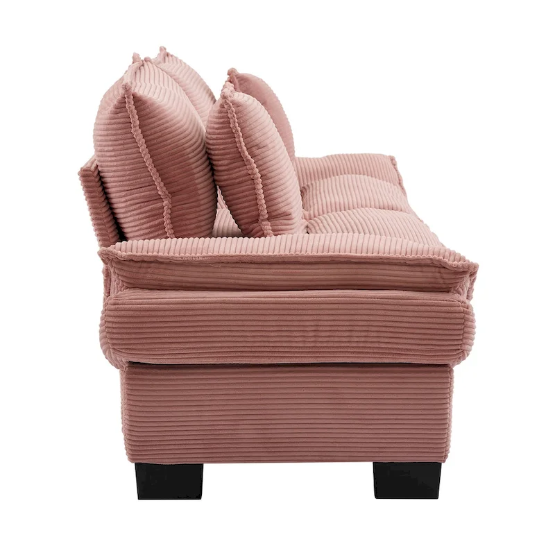 65.5 Upholstered 3-Seater Sofa Couch with Two Pillows and Sturdy Construction