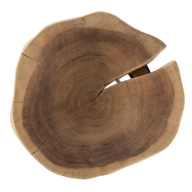 Colton 12 in. Round Acacia Wood Accent End Table with Black Metal Legs