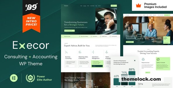 Execor v20 - Accounting and Management Consulting WordPress Theme