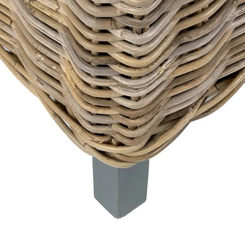 Natural Rattan Cushioned Dining Chairs (Set Of 2) by East at Main