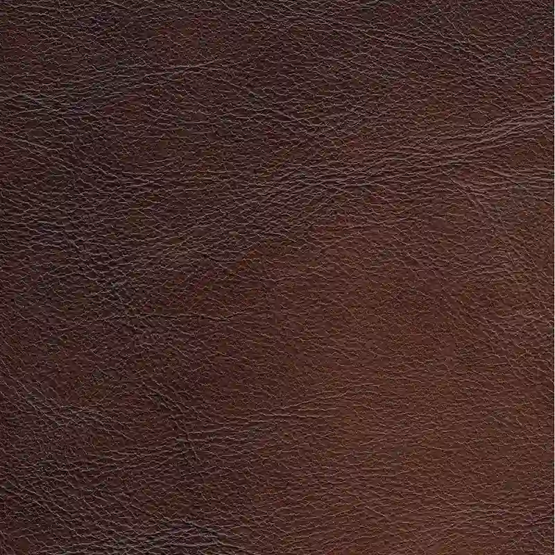 Top Grain Leather Sofa and Accent Chair