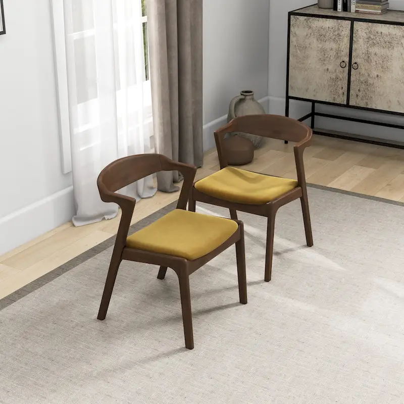 Rosanna Mid Century Modern Dining Chair (Set of 2)