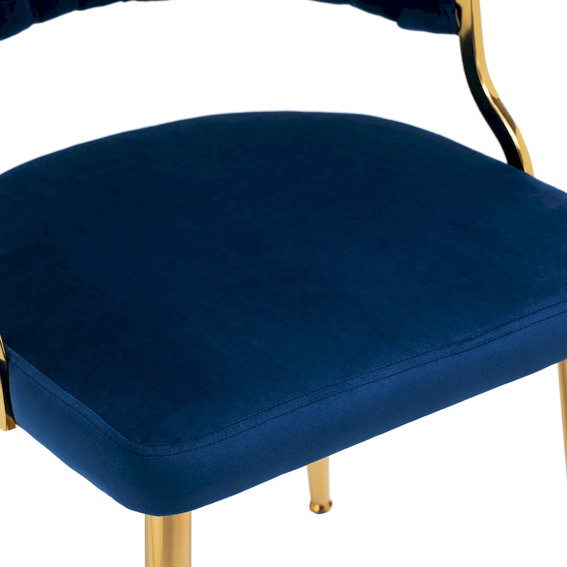 Modern Velvet Dining Chairs Set of 4