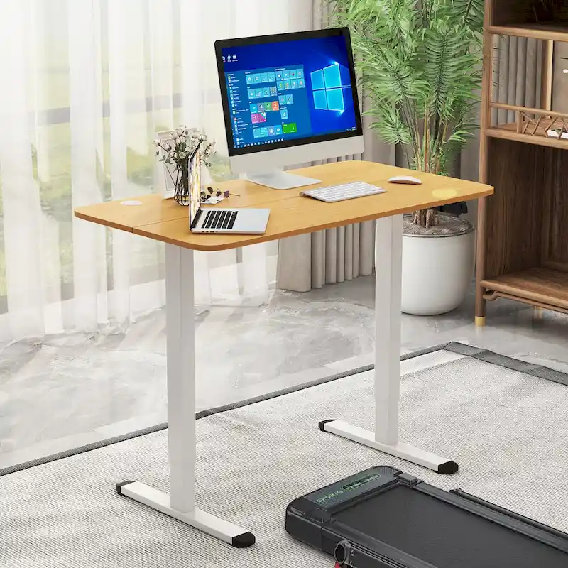 Electric Standing Desk — Adjustable Computer Desk