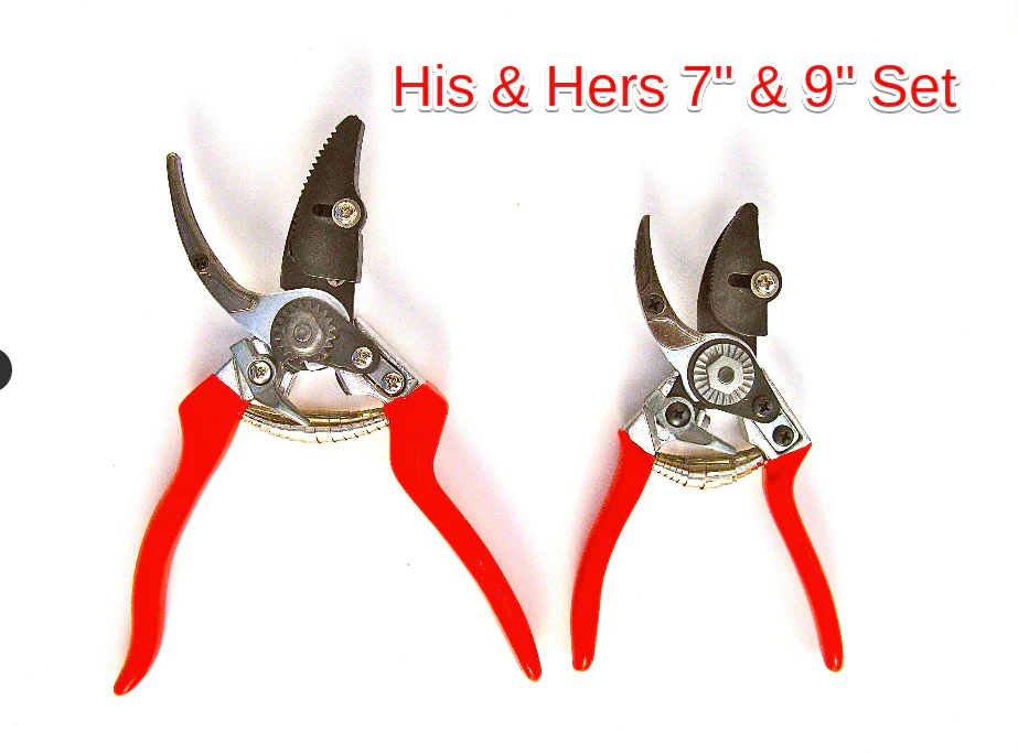 Cut and Hold By-Pass Pruners 5
