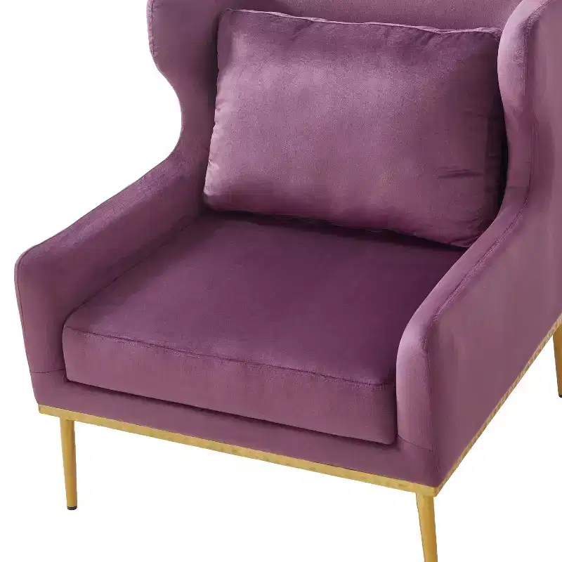 Christopher Knight Home Galina Modern Velvet Armchair with Pillow
