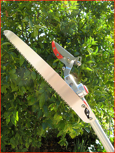 Cut & Hold Telescopic Pruners With Pivot Head 5
