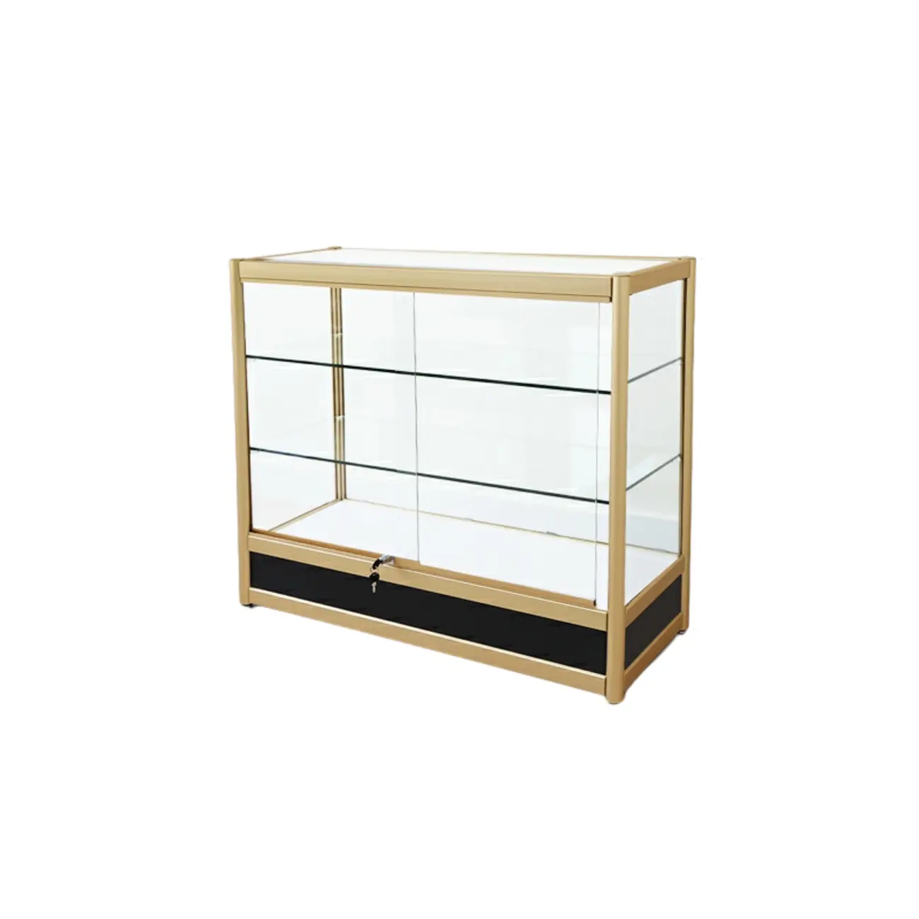Gold Rectangular Metal Frame Glass Curio Cabinet