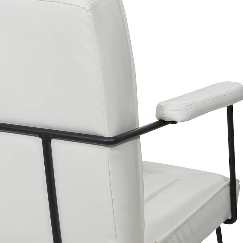 Teigen Faux Leather Chair with Sled Base