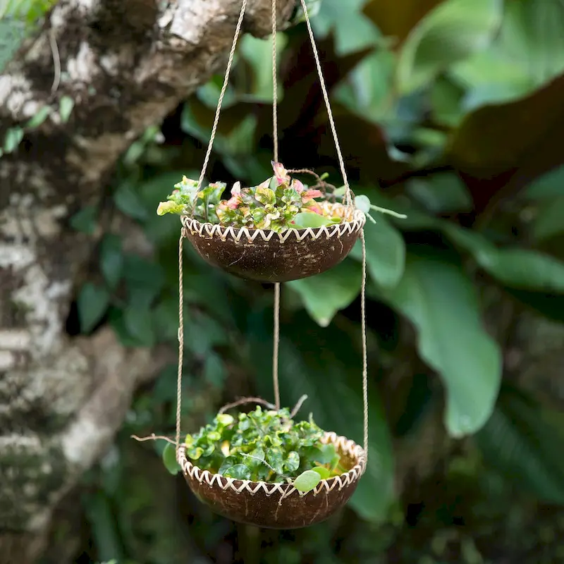 Novica Handmade Coconut Prosperity Coconut Shell Hanging Planter