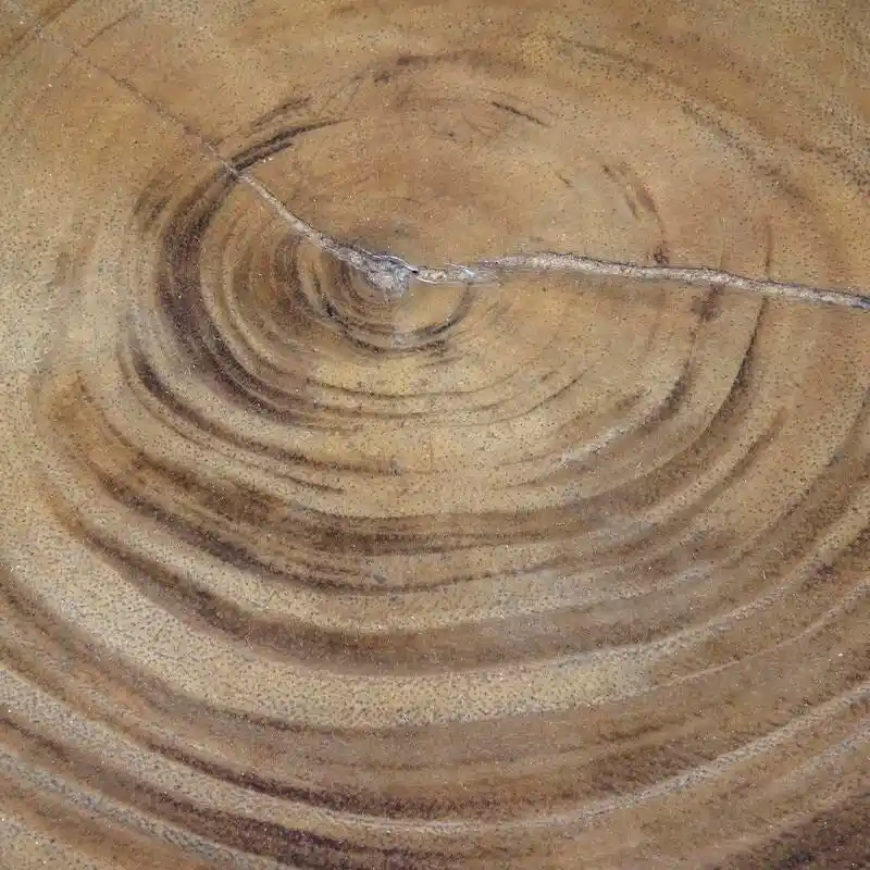 Natural Solid Acacia Wood Round End Table by East at Main