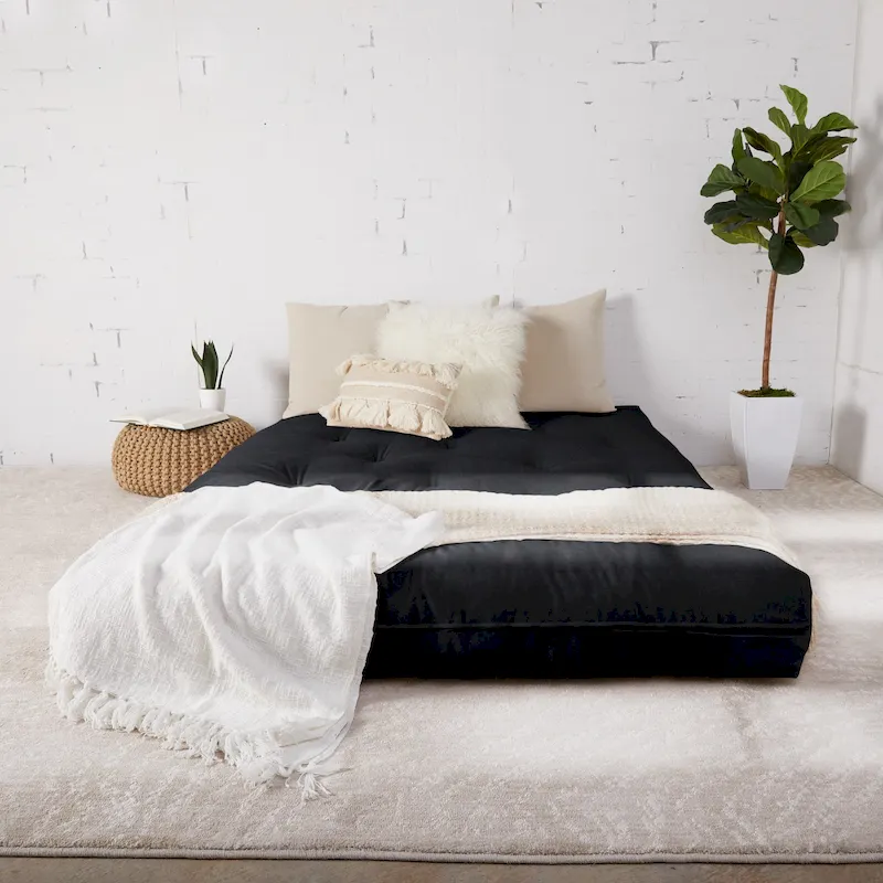 TruPedic Queen-size 10-inch Futon Mattress (Mattress Only)