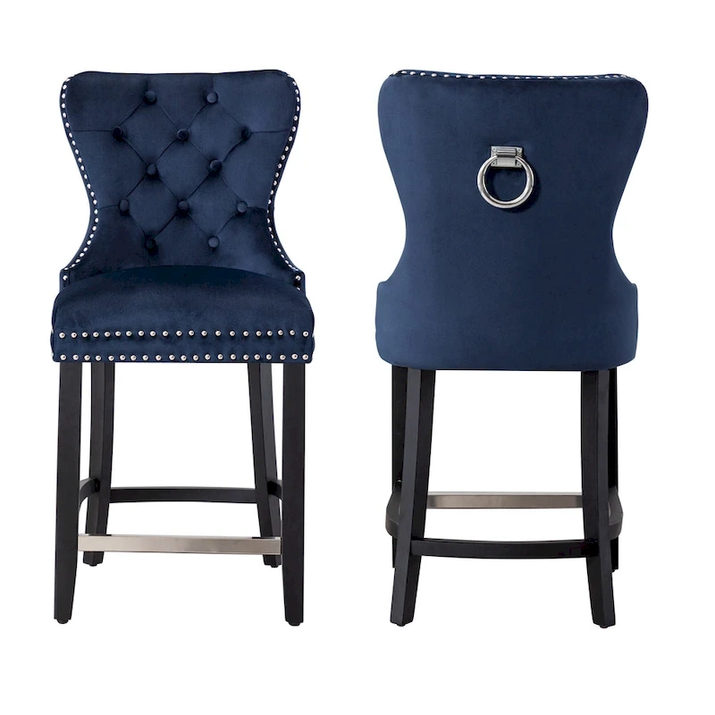 Carter 24  Wingback Tufted Nailhead Counter Stool (Set of 2)