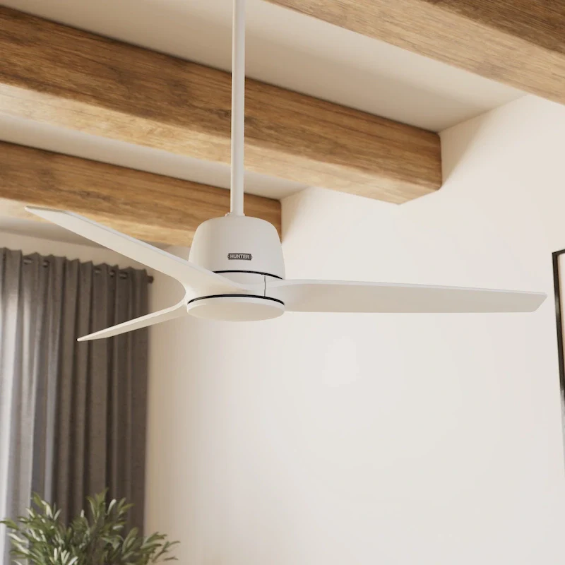 Hunter + Jasmine Roth 52  Malden Ceiling Fan and Handheld Remote - Contemporary, Modern - Designer!