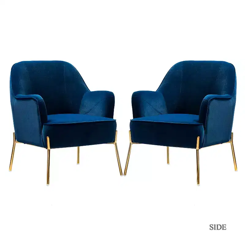 Odo Velvet Accent Comfy Living Room Arm Chair Upholstered Padded Seat Set of 2 | Karat Home