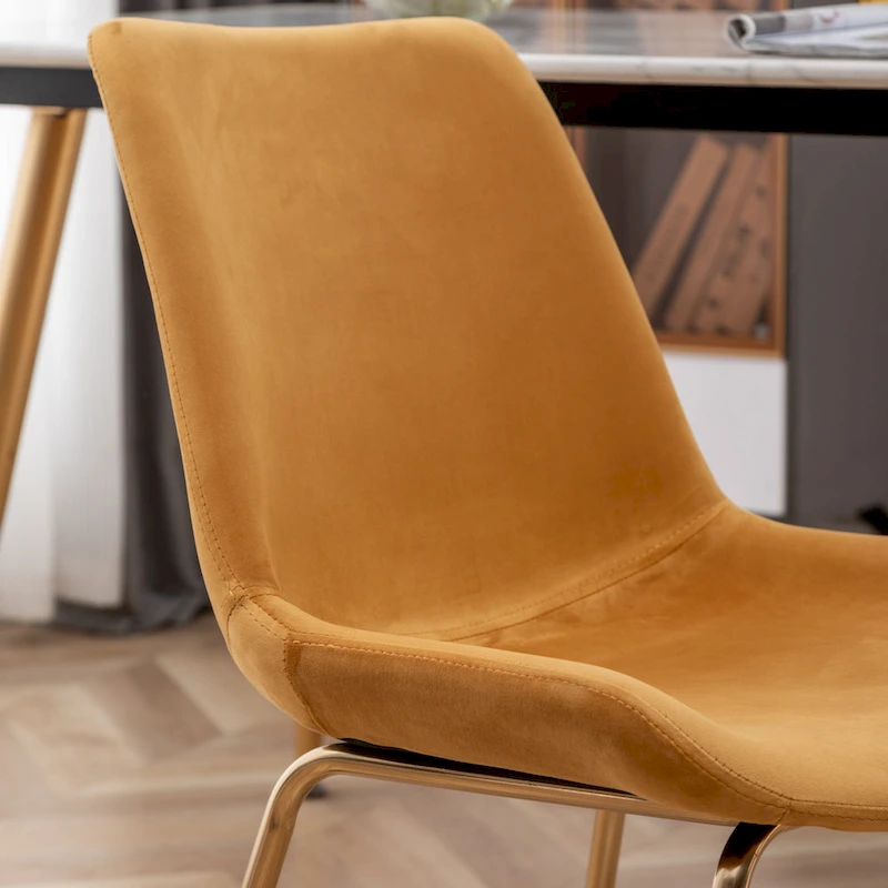 Roundhill Furniture Aufurr Modern Velvet Dining Chair (Set of 2)