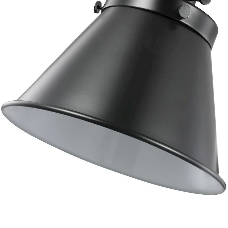 Hinton Collection Black Swing Arm Wall Light