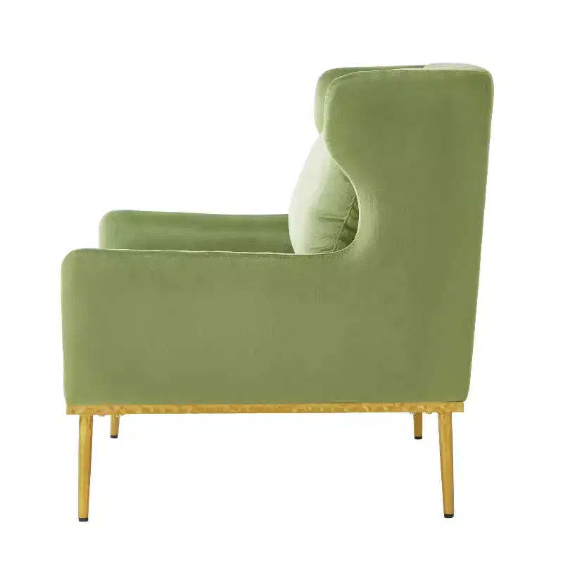 Christopher Knight Home Galina Modern Velvet Armchair with Pillow