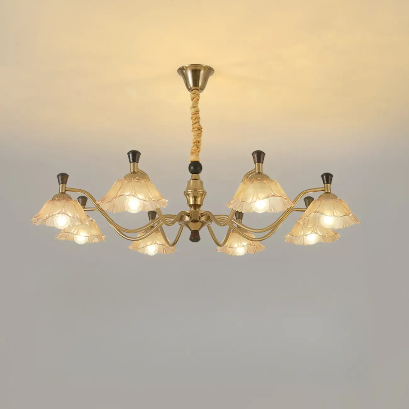 Modern Adjustable Gold Flower Glass Chandelier 6/8 Lights
