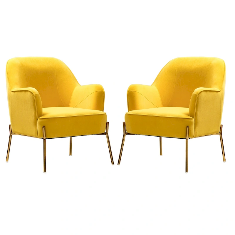 Marina Modern Velvet Accent Chair with Golden Legs Set of 2 by HULALA HOME