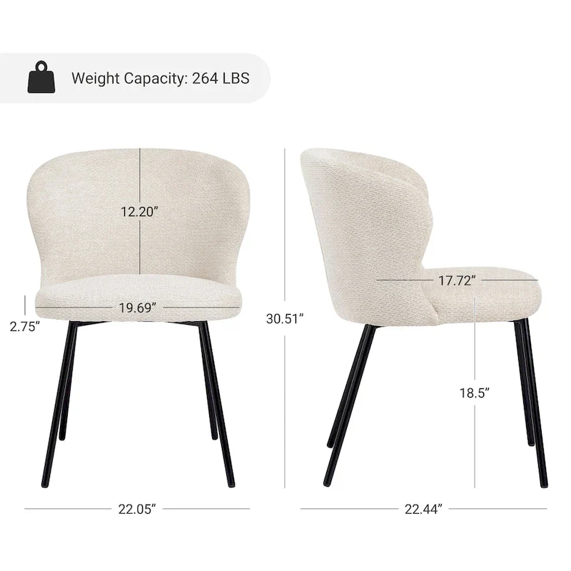 Modern Dining Chairs, Set of 2