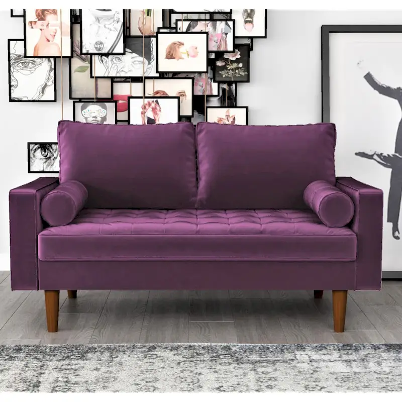 Luis Mid-century Modern Tufted Velvet Loveseat - N/A