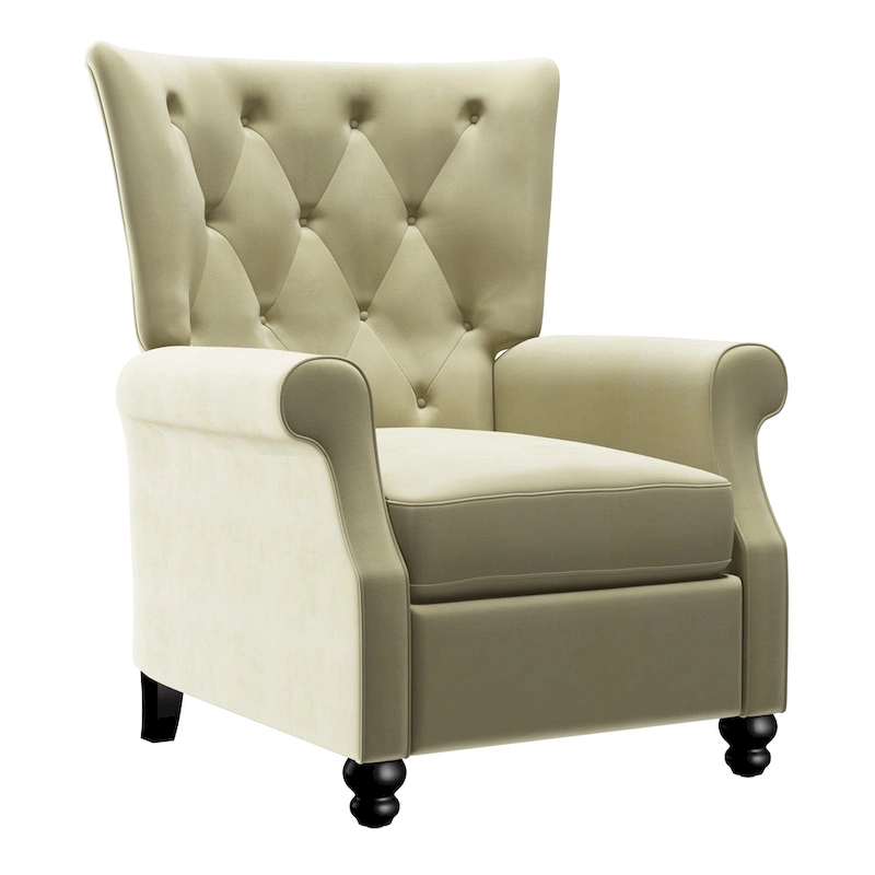 Copper Grove Plush Pushback Recliner Chairs (Set of 2)