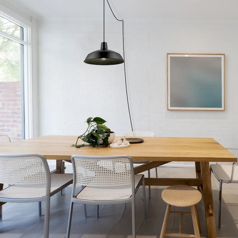 Barnyard 1-Light Matte Back Plug-In Pendant