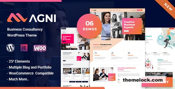 Agni v1.2.0 - Consulting Business