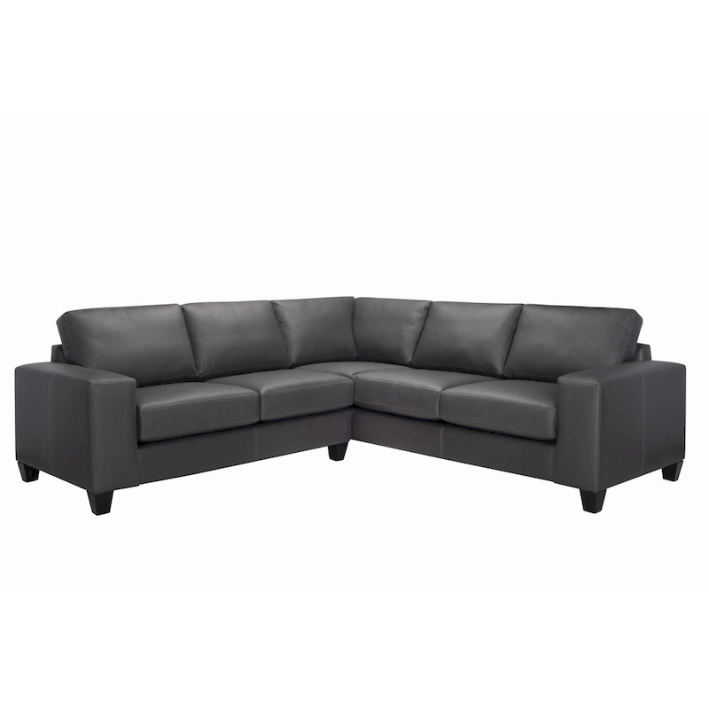 Paulina Top-grain Italian Leather Sectional Sofa