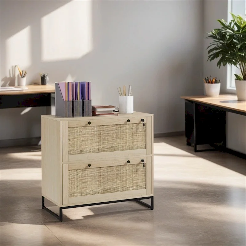 2 Drawer File Cabinet with Lock,Vertical Filing Cabinet with Keys