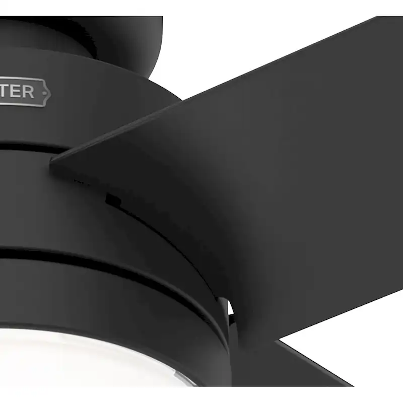 Hunter 52  Timpani Ceiling Fan w/ LED Light, Pull Chain