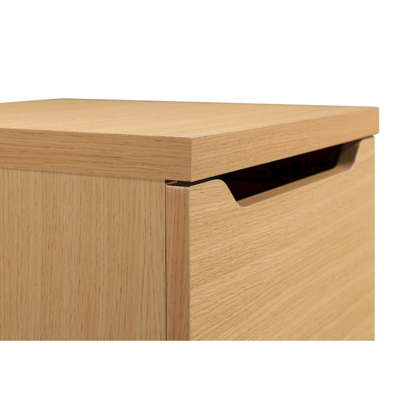 Denmark Vertical File