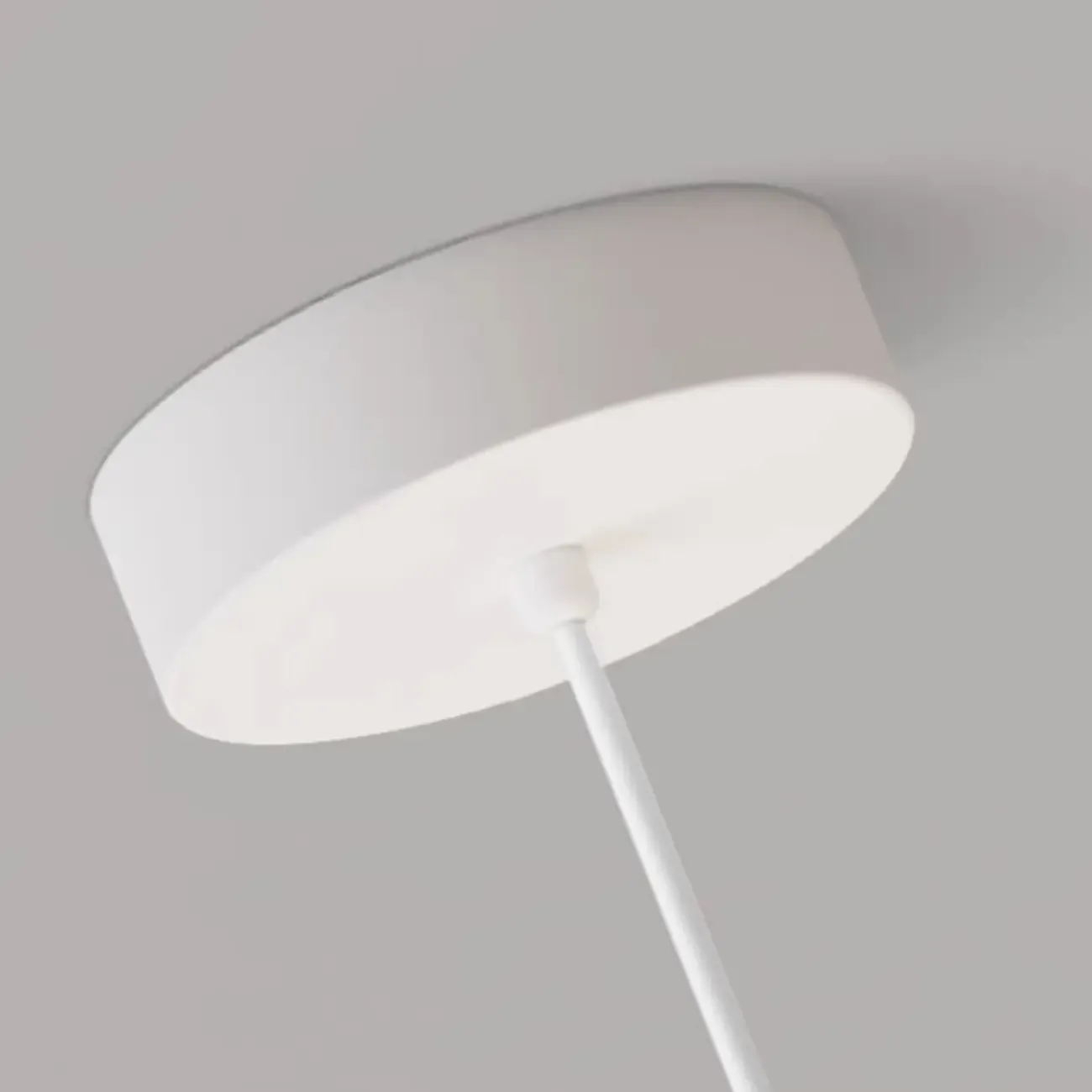 Cartoon Animal White Metal Acrylic Globe Pendant Light