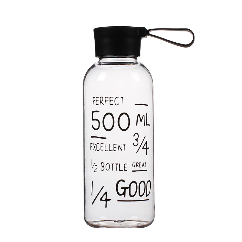 650ML Clear Borosilicate Glass Water Bottle with Volume Markers and Canvas Pouch