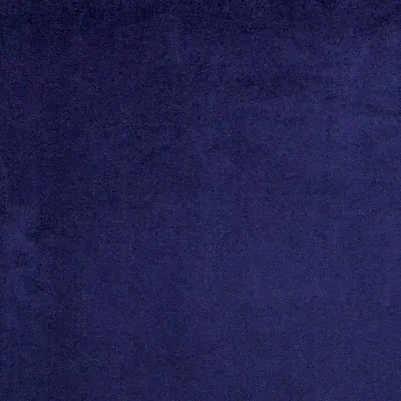 Tese Traditional Fabric Felt Button Tufted Armchair by Furniture of America