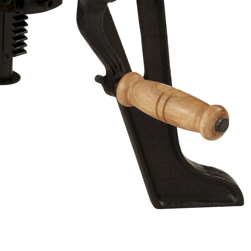 vidaXL Side Table Round Coffee End Table Sofa Table Solid Wood and Cast Iron