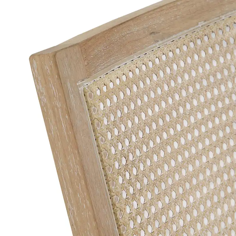 Celann Natural Finish Fabric Cane Accent Chair by iNSPIRE Q Modern