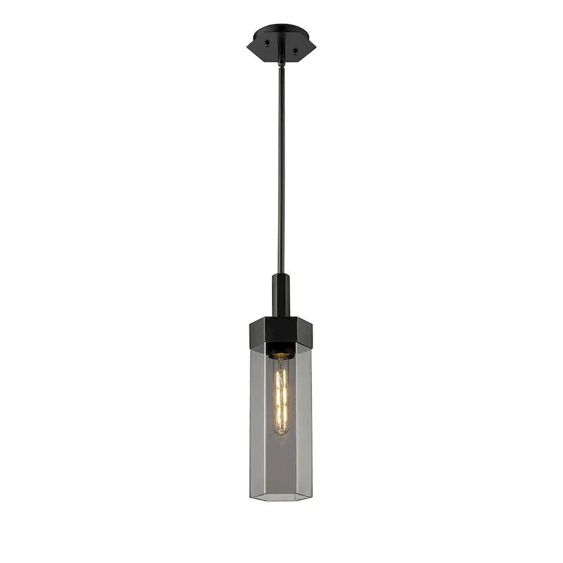 Innovations Lighting Claverack - 1 Light 14  Stem Hung Pendant