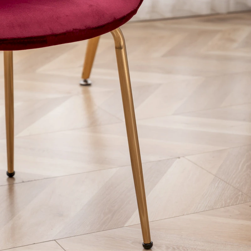 Roundhill Furniture Aufurr Modern Velvet Dining Chair (Set of 2)