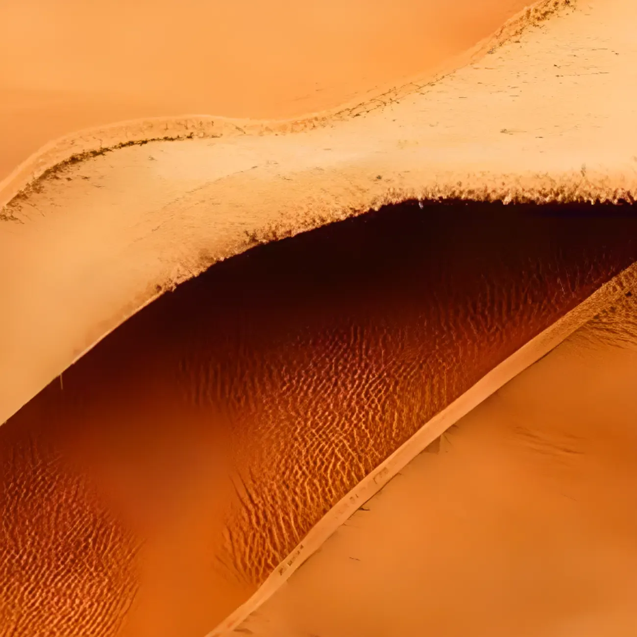 Square Adjustable Leather Gold Legs Swivel Bar Stools