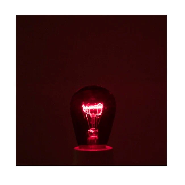 Bulbrite Pack of (25) 11 Watt Dimmable S14 Incandescent Light Bulbs with Medium (E26) Base