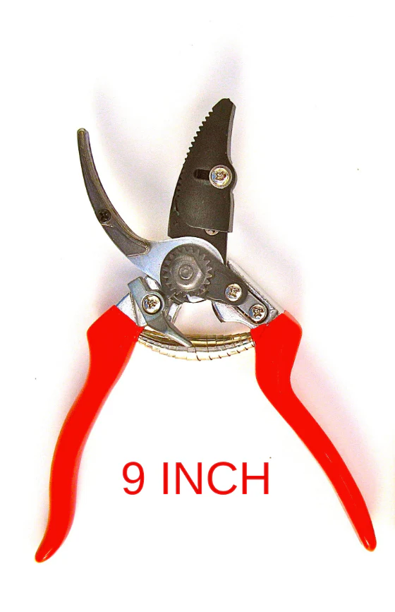 Cut and Hold By-Pass Pruners 3