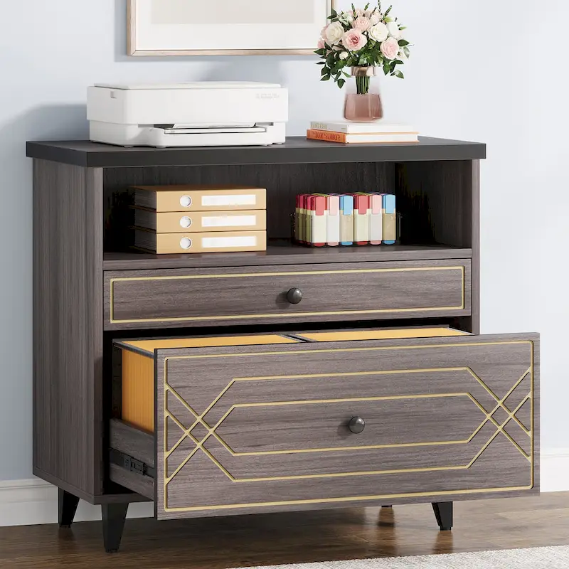 [Give Up] Office File Cabinet with Shelf, 2 Drawer Lateral Filing Cabinet for Letter Size